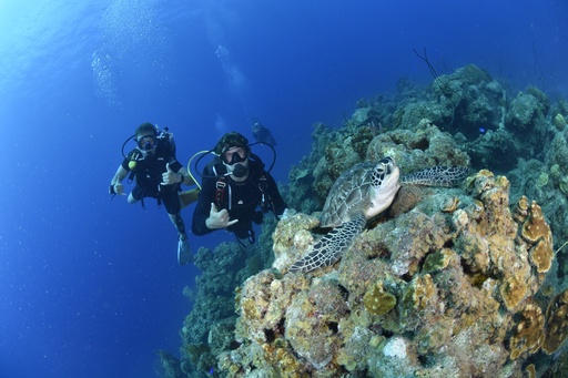 2 Tank Guided Boat Dive  