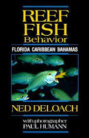 Reef Fish Behavior
