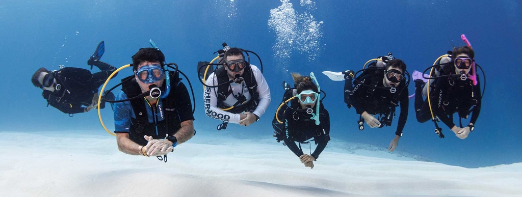 Member international 2026