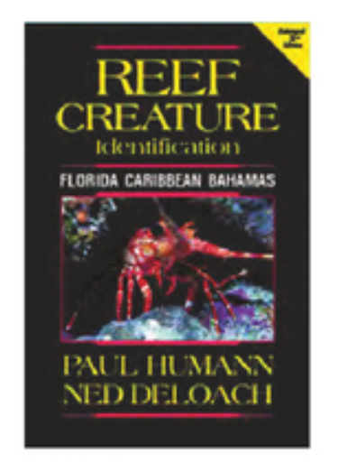 [LB1803] Reef Creature ID Book